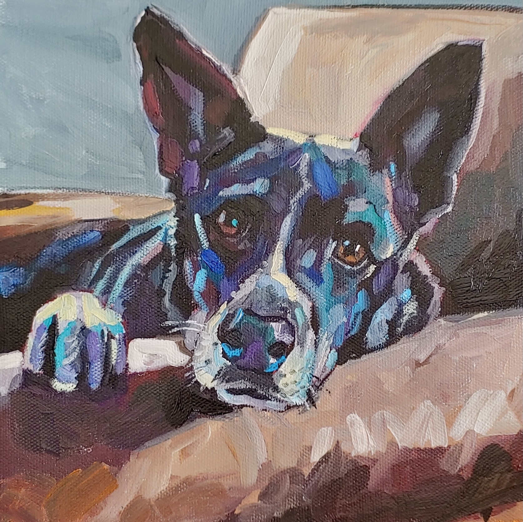 pet portraits Fraser Art Studio