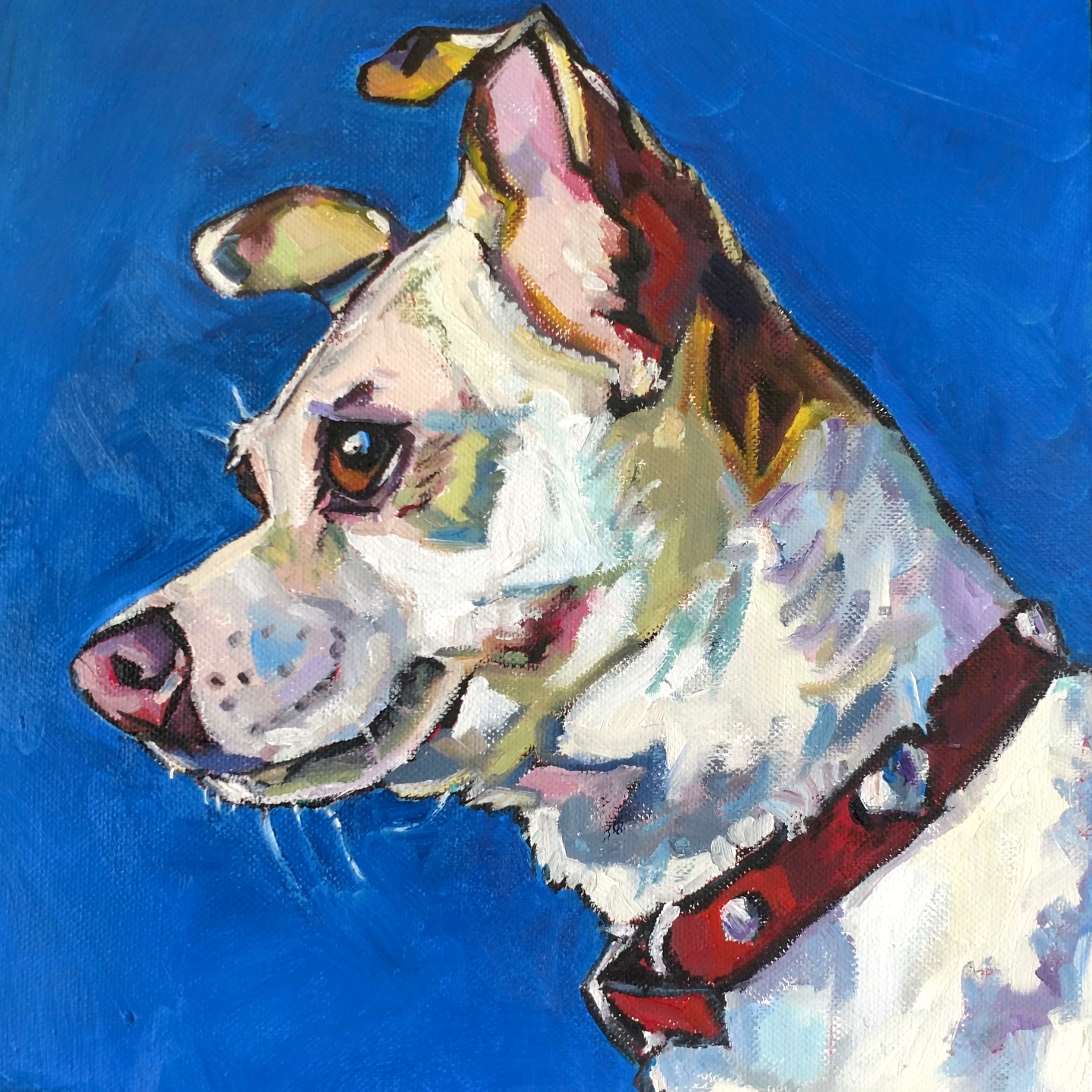 pet portraits Fraser Art Studio